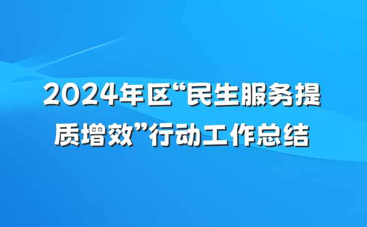 2024年区“民生服务提质增效”行动工作总结