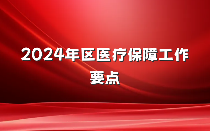2024年区医疗保障工作要点