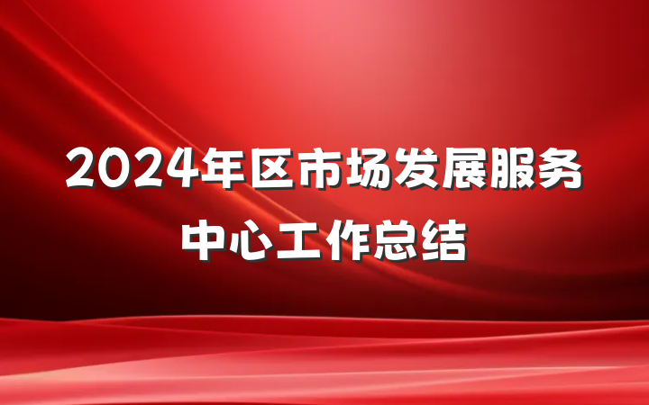 2024年区市场发展服务中心工作总结