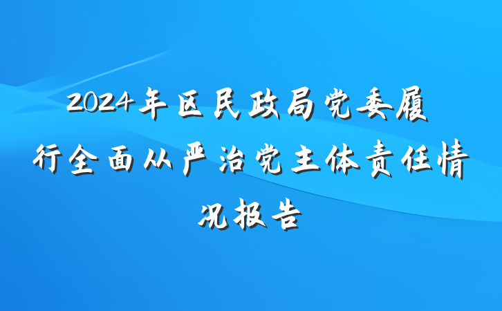 2024年区民政局党委履行全面从严治党主体责任情况报告