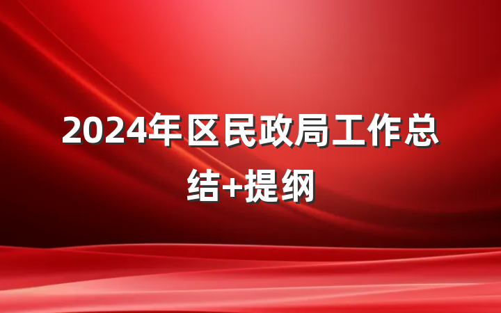 2024年区民政局工作总结 提纲