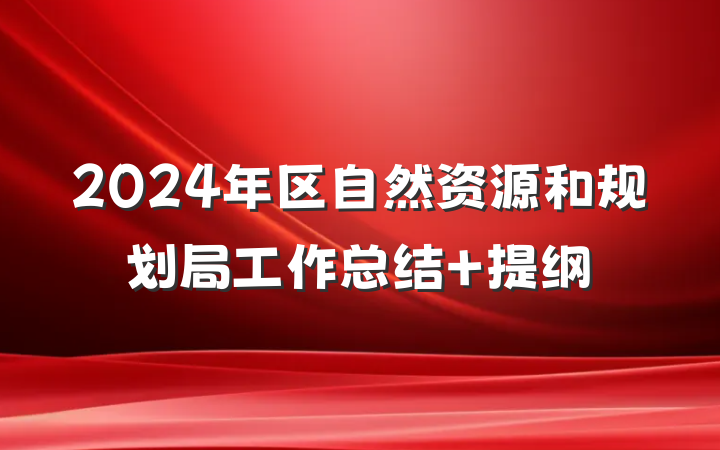 2024年区自然资源和规划局工作总结 提纲