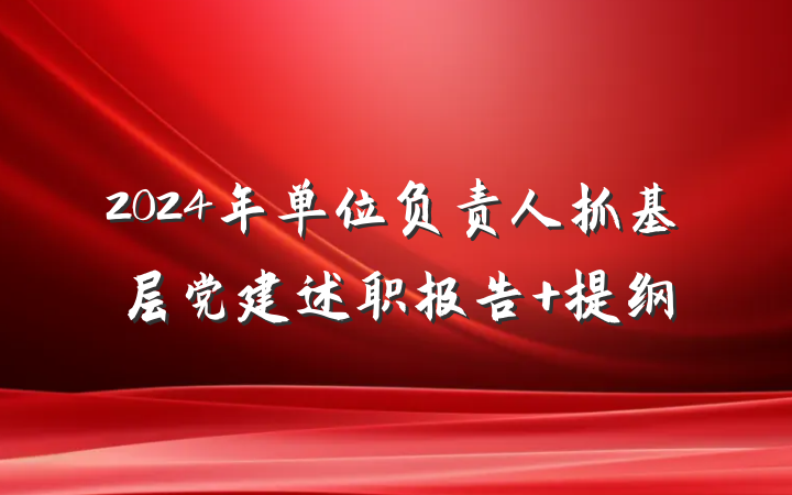 2024年单位负责人抓基层党建述职报告 提纲
