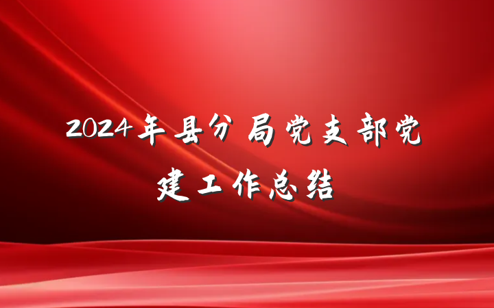2024年县分局党支部党建工作总结