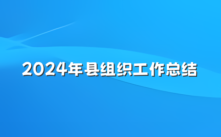 2024年县组织工作总结