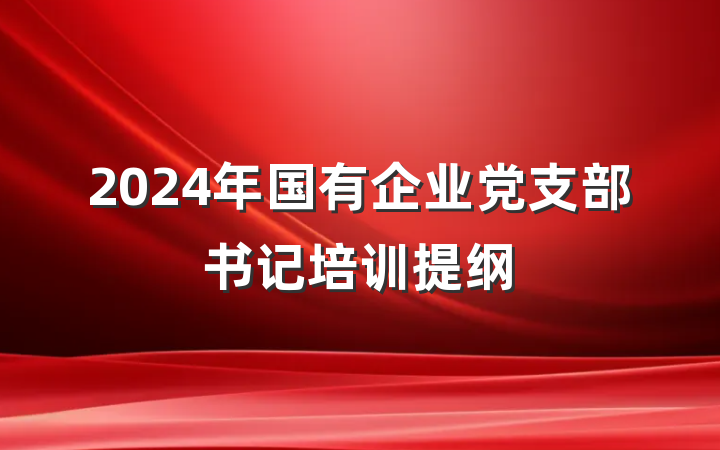 2024年国有企业党支部书记培训提纲