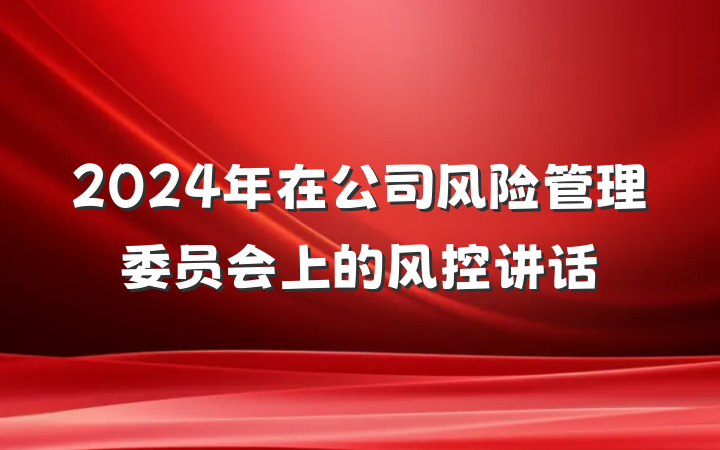2024年在公司风险管理委员会上的风控讲话