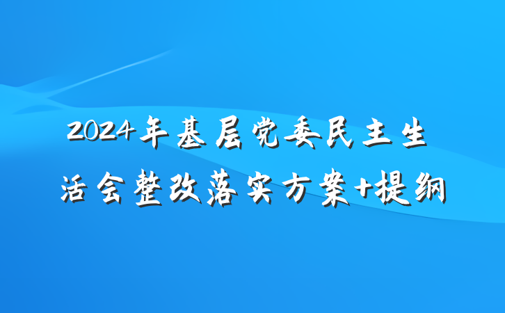 2024年基层党委民主生活会整改落实方案 提纲