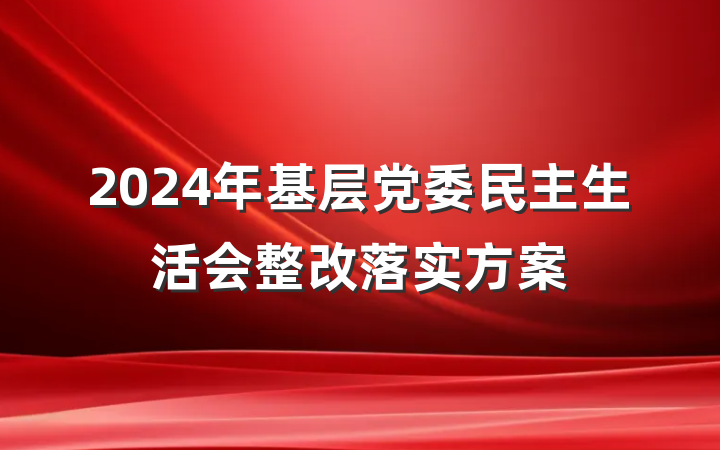 2024年基层党委民主生活会整改落实方案