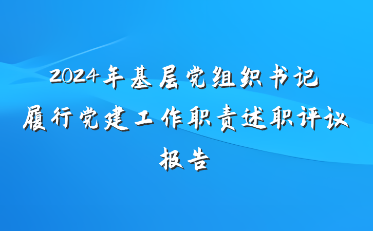 2024年基层党组织书记履行党建工作职责述职评议报告