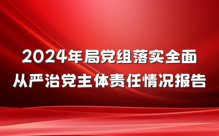 2024年局党组落实全面从严治党主体责任情况报告