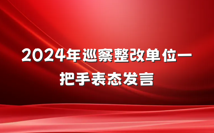 2024年巡察整改单位一把手表态发言