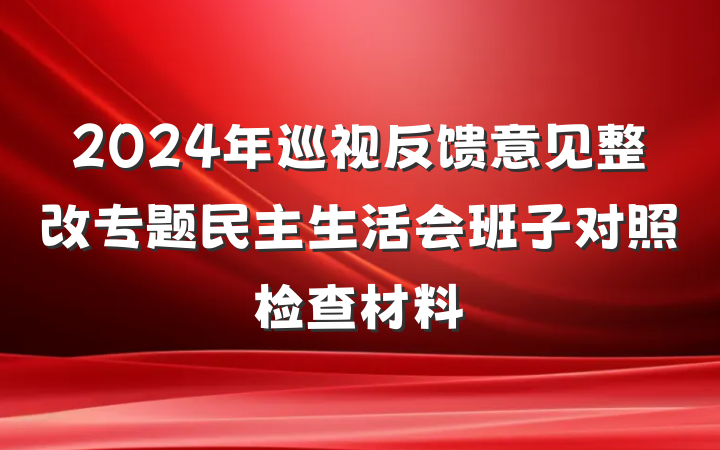 2024年巡视反馈意见整改专题民主生活会班子对照检查材料