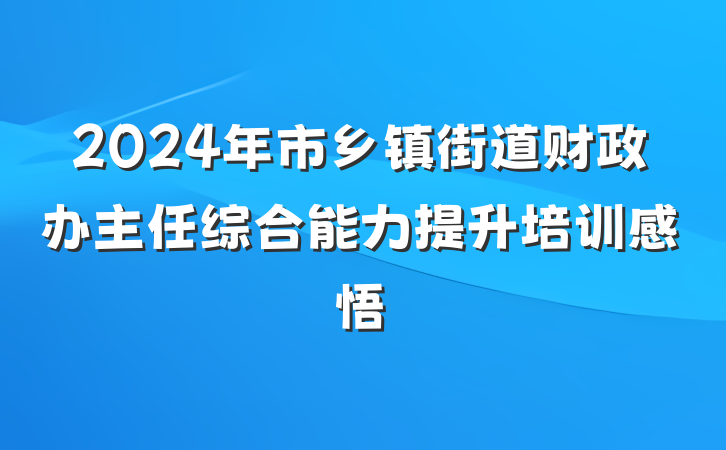 2024年市乡镇街道财政办主任综合能力提升培训感悟