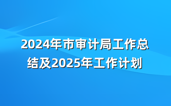 2024年市审计局工作总结及2025年工作计划