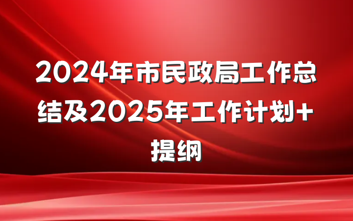 2024年市民政局工作总结及2025年工作计划 提纲