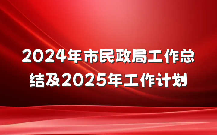 2024年市民政局工作总结及2025年工作计划