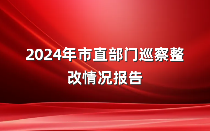 2024年市直部门巡察整改情况报告