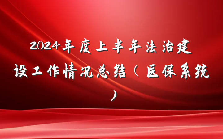 2024年度上半年法治建设工作情况总结（医保系统）