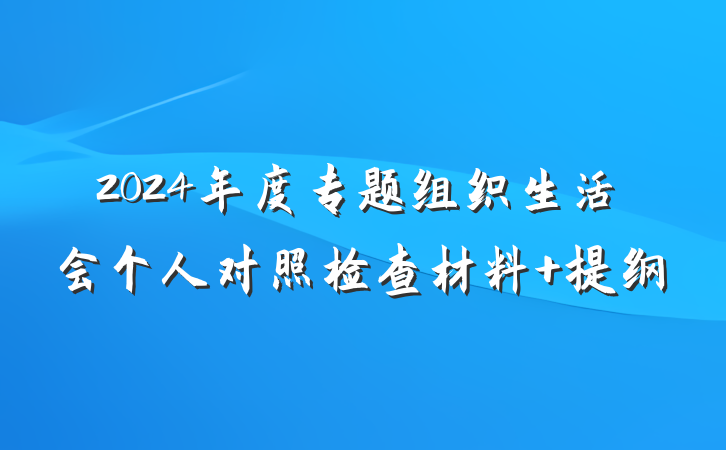2024年度专题组织生活会个人对照检查材料 提纲