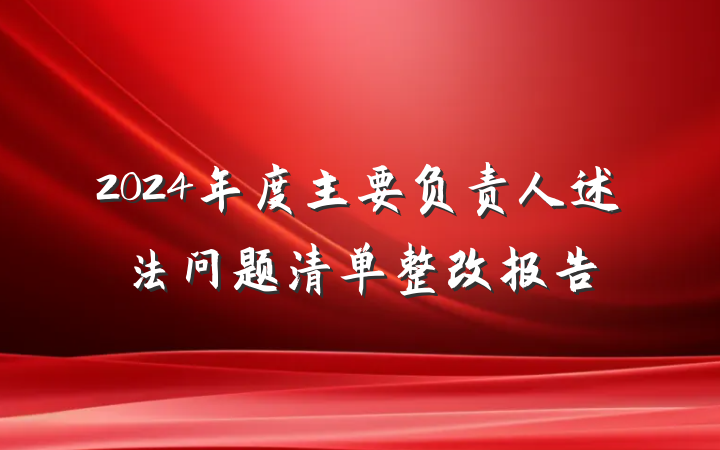 2024年度主要负责人述法问题清单整改报告