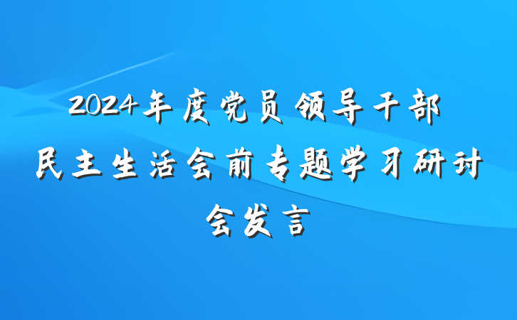 2024年度党员领导干部民主生活会前专题学习研讨会发言