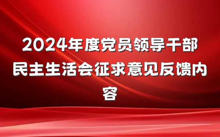 2024年度党员领导干部民主生活会征求意见反馈内容