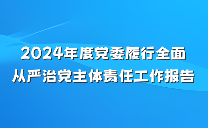 2024年度党委履行全面从严治党主体责任工作报告