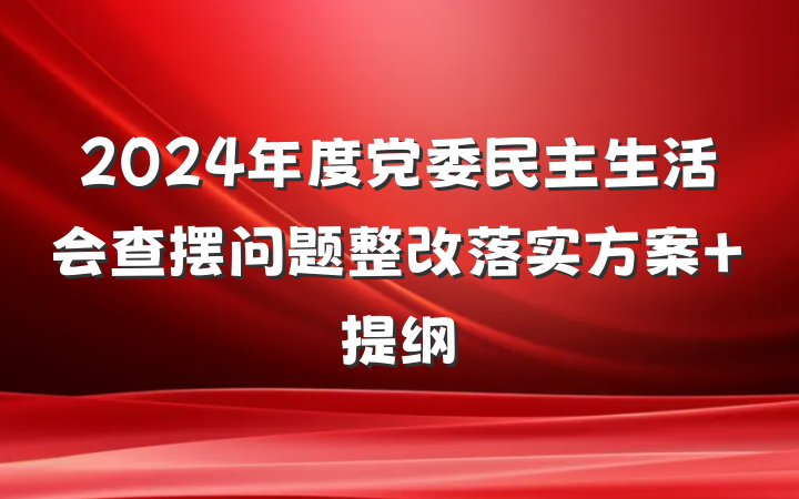 2024年度党委民主生活会查摆问题整改落实方案 提纲
