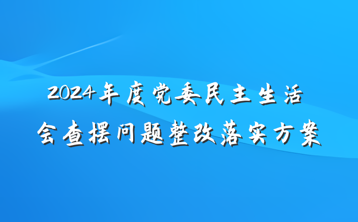 2024年度党委民主生活会查摆问题整改落实方案