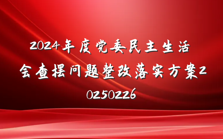 2024年度党委民主生活会查摆问题整改落实方案20250226