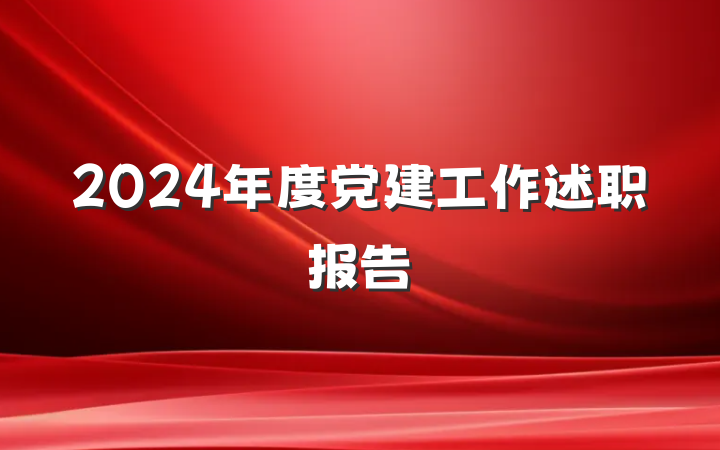 2024年度党建工作述职报告