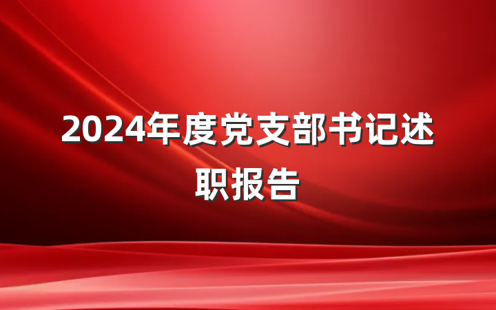 2024年度党支部书记述职报告