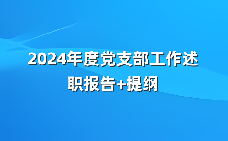 2024年度党支部工作述职报告 提纲