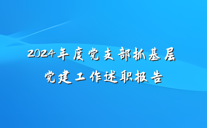 2024年度党支部抓基层党建工作述职报告
