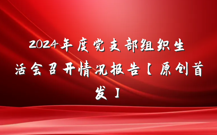 2024年度党支部组织生活会召开情况报告【原创首发】