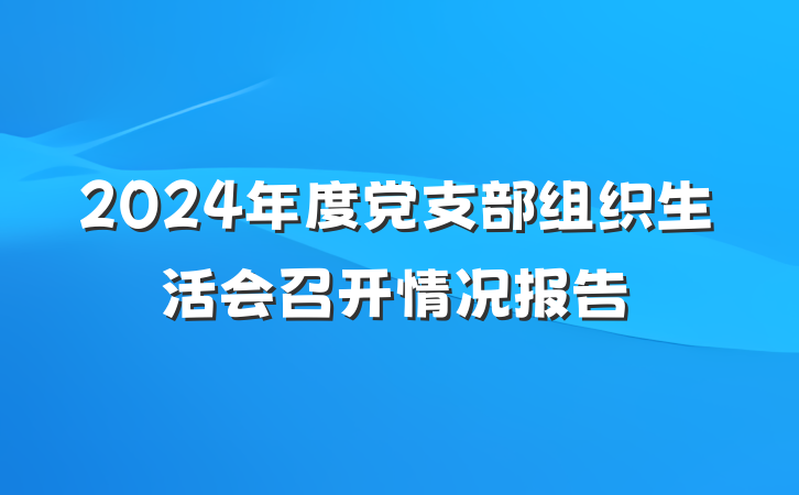 2024年度党支部组织生活会召开情况报告