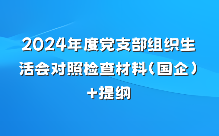 2024年度党支部组织生活会对照检查材料（国企） 提纲