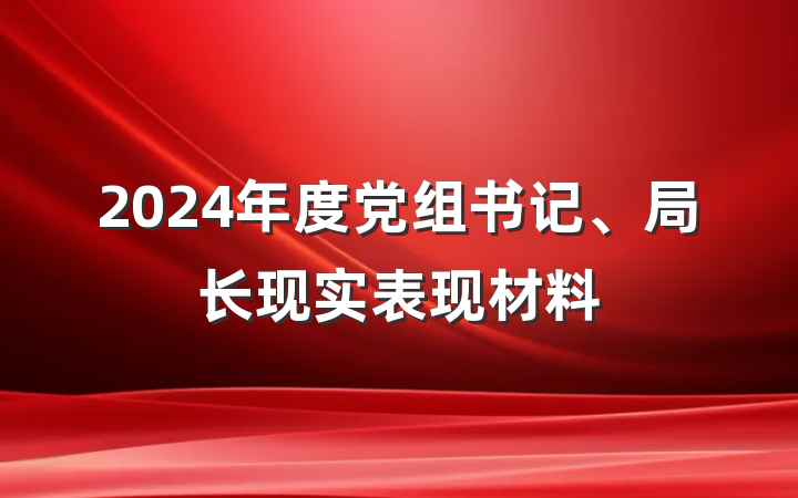 2024年度党组书记、局长现实表现材料