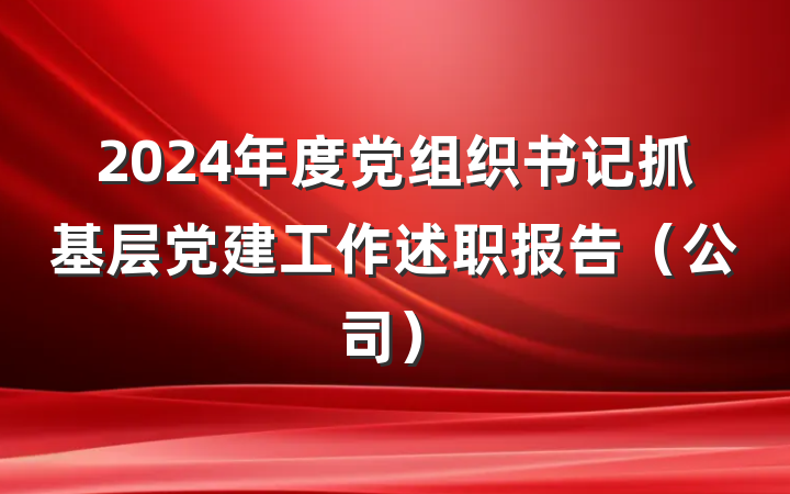 2024年度党组织书记抓基层党建工作述职报告（公司）