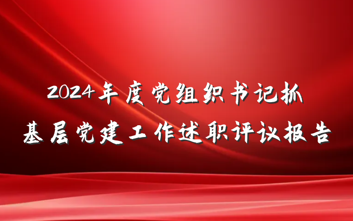 2024年度党组织书记抓基层党建工作述职评议报告