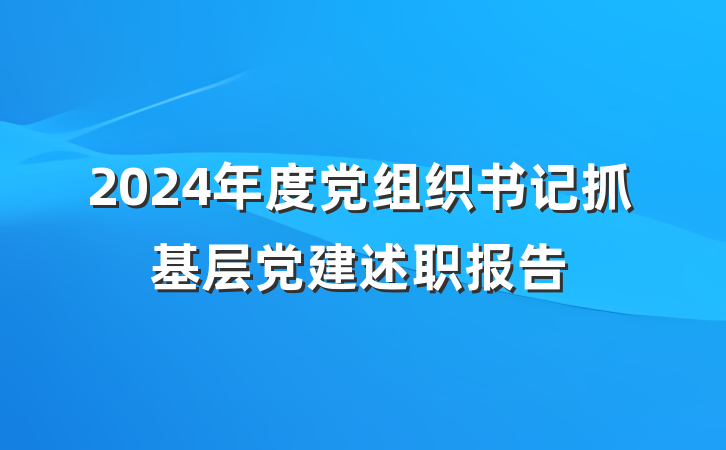 2024年度党组织书记抓基层党建述职报告