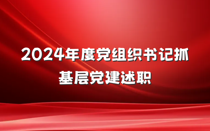2024年度党组织书记抓基层党建述职