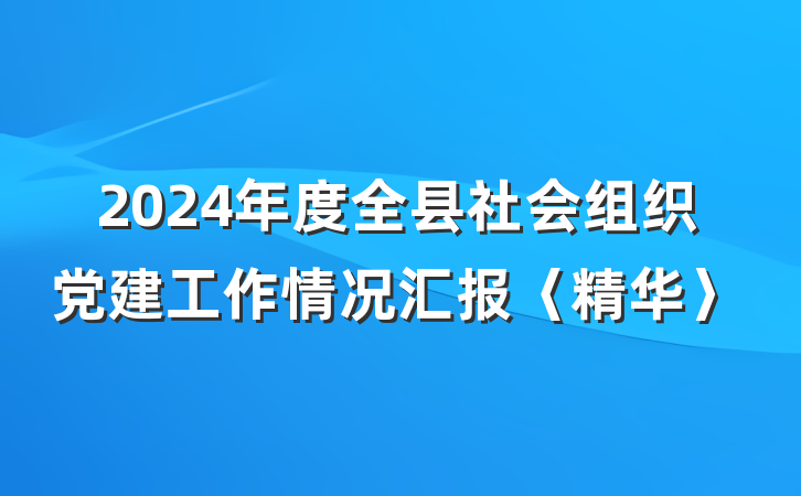 2024年度全县社会组织党建工作情况汇报〈精华〉