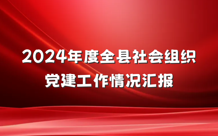 2024年度全县社会组织党建工作情况汇报