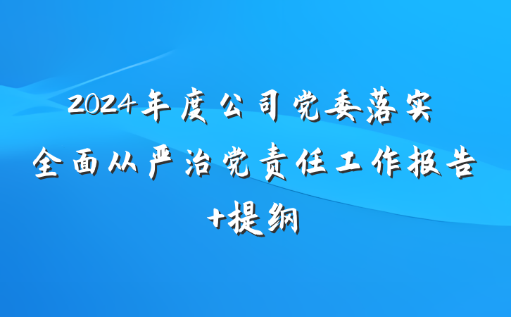 2024年度公司党委落实全面从严治党责任工作报告 提纲