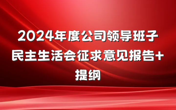 2024年度公司领导班子民主生活会征求意见报告 提纲
