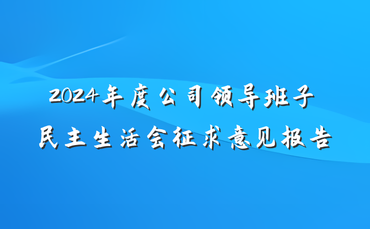 2024年度公司领导班子民主生活会征求意见报告