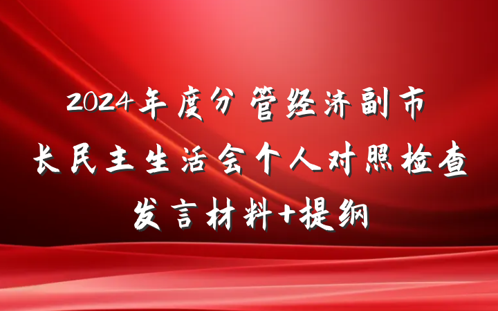 2024年度分管经济副市长民主生活会个人对照检查发言材料 提纲