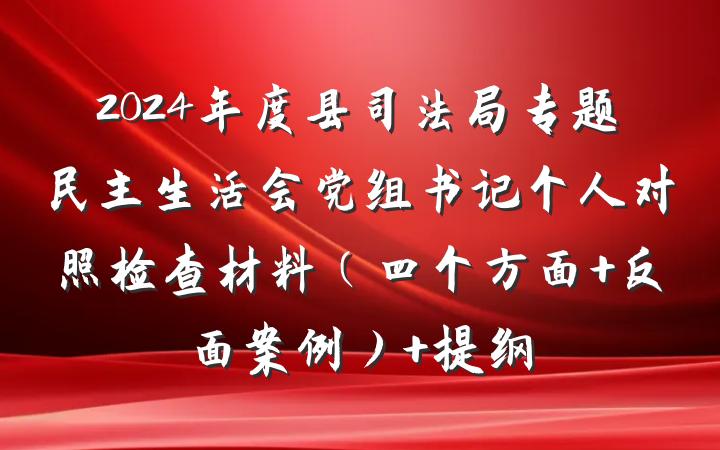 2024年度县司法局专题民主生活会党组书记个人对照检查材料（四个方面+反面案例） 提纲